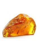 Ambre